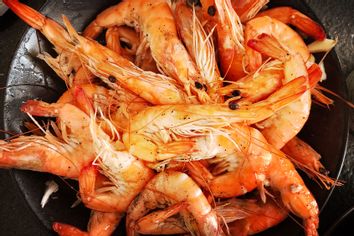 Shrimp