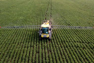 ARGENTINA-AGRICULTURE-GLYPHOSATE