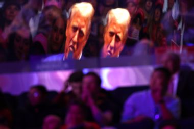Image for Goose-steppers in the name of freedom: The nonsensical cult that now rules America